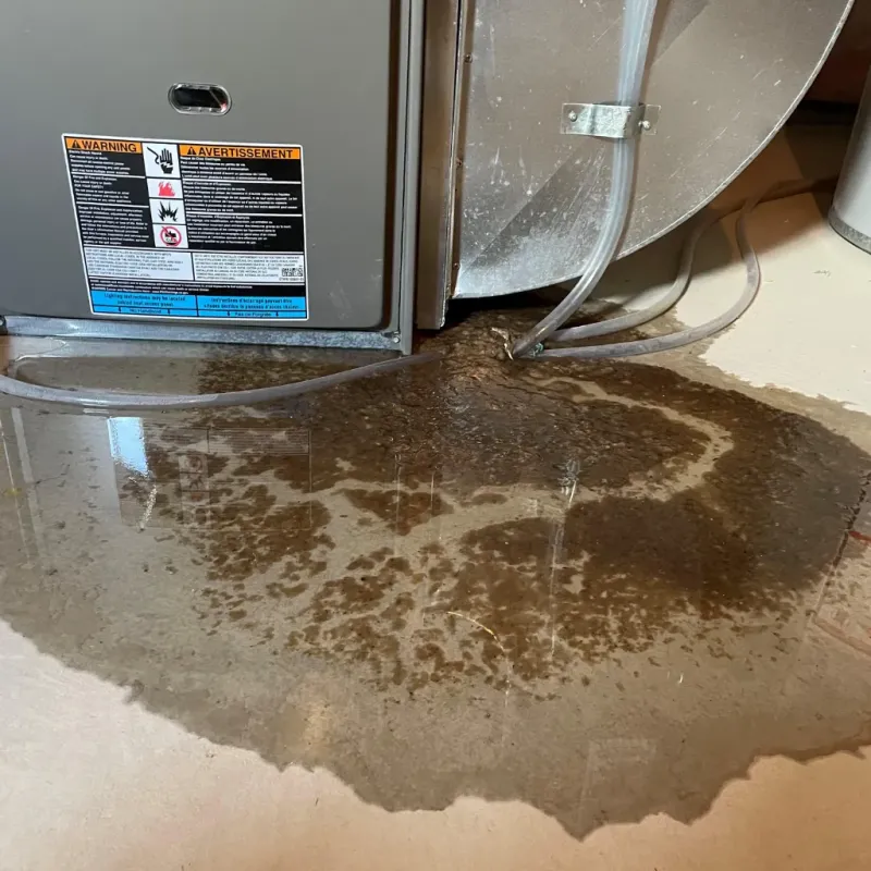 Appliance Leak Cleanup in Belvedere, SC